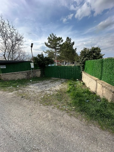 Çim çit